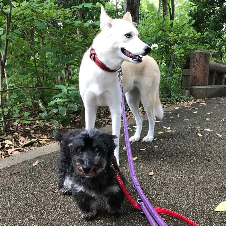 45f62304 dc7f 49a1 9111 d753a0234d55 1533767349754