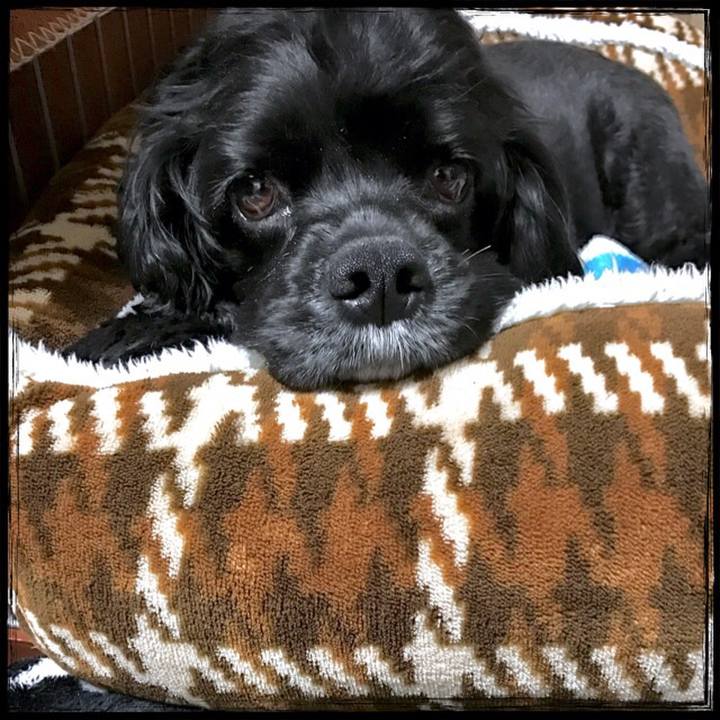 45f6305b a890 48ac 90b5 d20c7562bb49 1541169556997