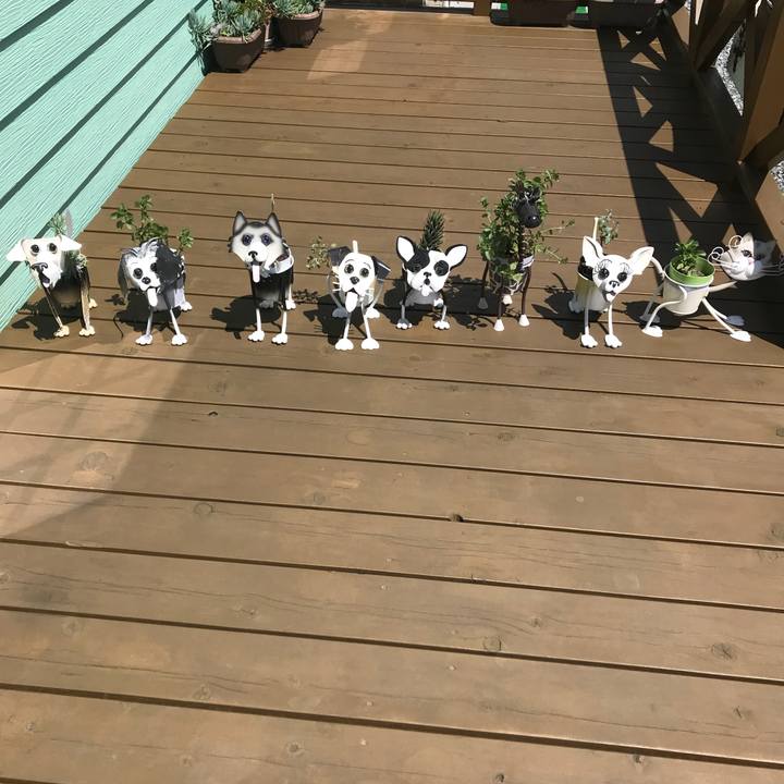 45f647bf 04fe 4e4a 87e1 7e4a7a78c26e 1534577642922