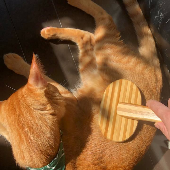 45f65300 21cf 48b3 b989 7f9c3cb61f62 1632486935825