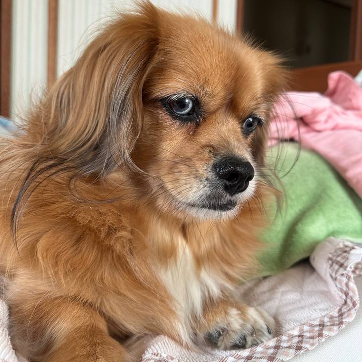 45f6b509 e0a1 481f 82c1 7052ffa65819 1696729807855