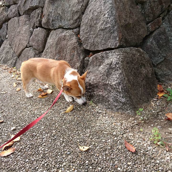 45f6f5a4 e782 48fd 9ff0 b7b08e735d6c 1576043490111