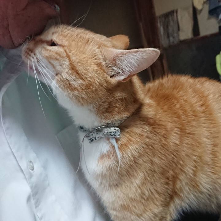 45f6faa2 b296 4029 8039 0d6115af8f42 1589361712480