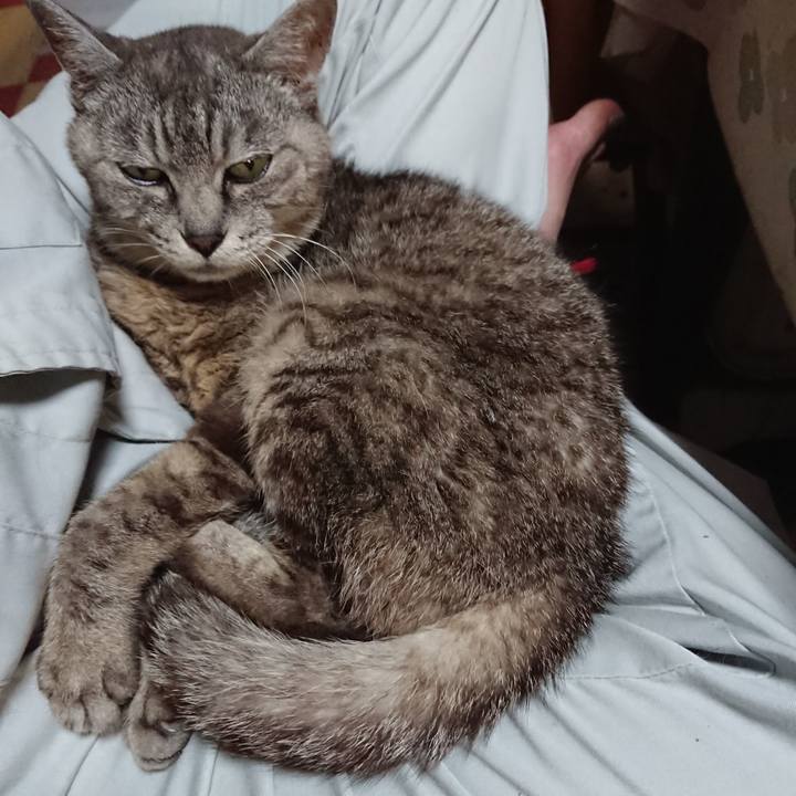 45f70447 ff5f 4724 b798 4be38d68078e 1567072246205