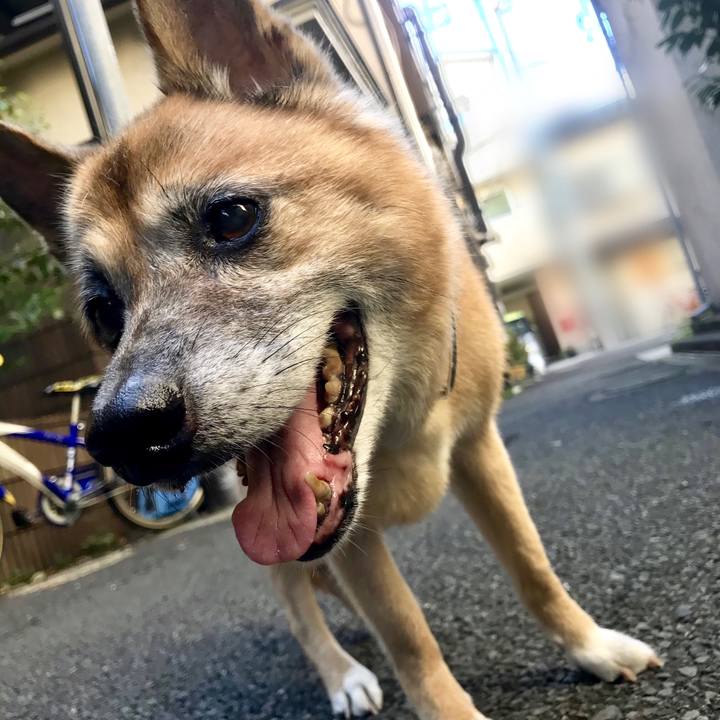 45f710ec b8be 46ae bb7d 0e85793da1f5 1534286771266