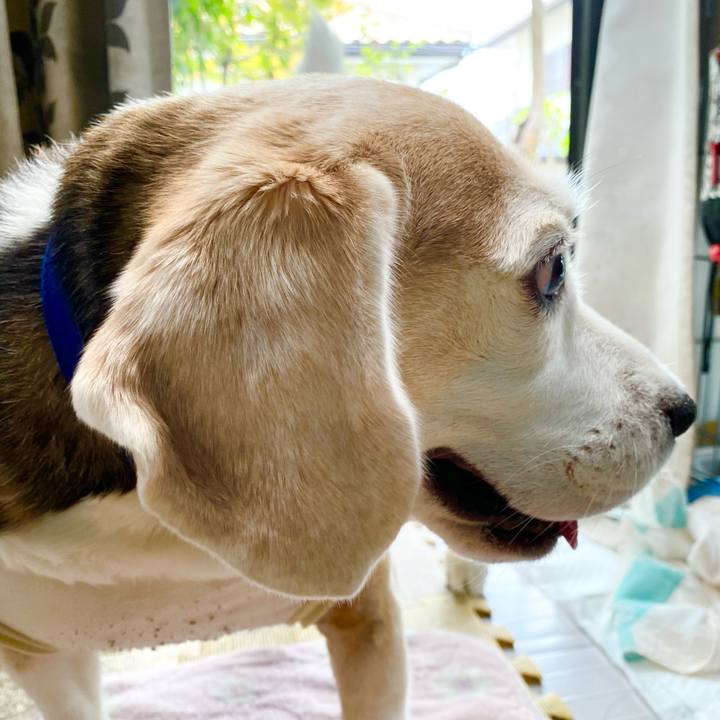 45f7312f ca24 4b9e 9cac 7ee135a04b48 1622012699329