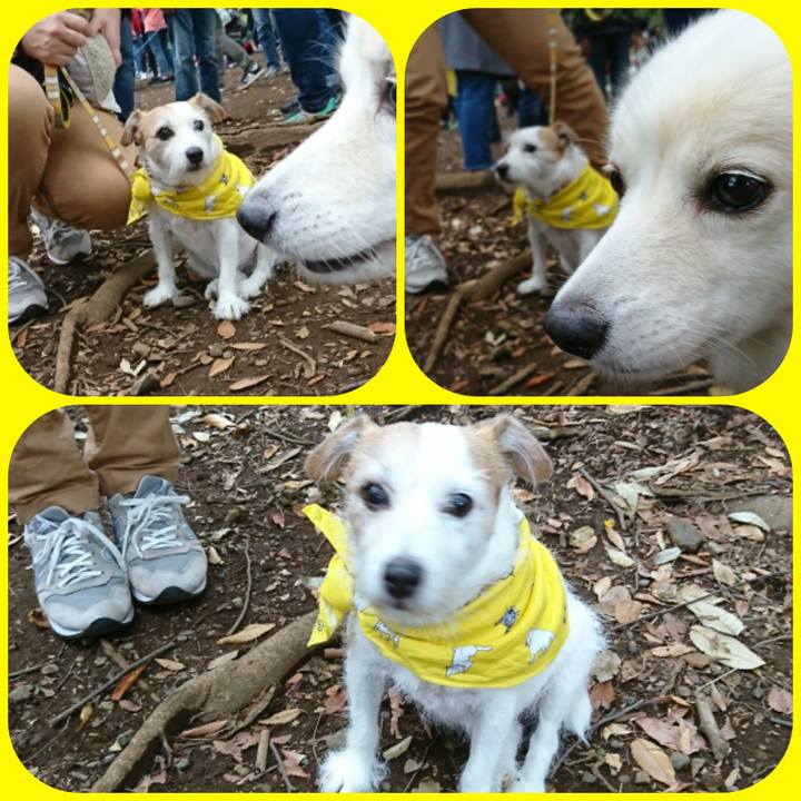 45f73747 2e21 4dc0 a156 219d376c7aa4 1509394779764