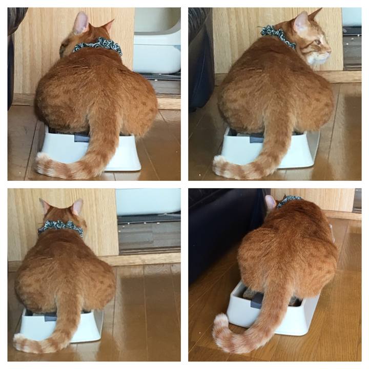 45f74ad5 b00e 4ed4 bd71 7d1943bbf447 1556843566552