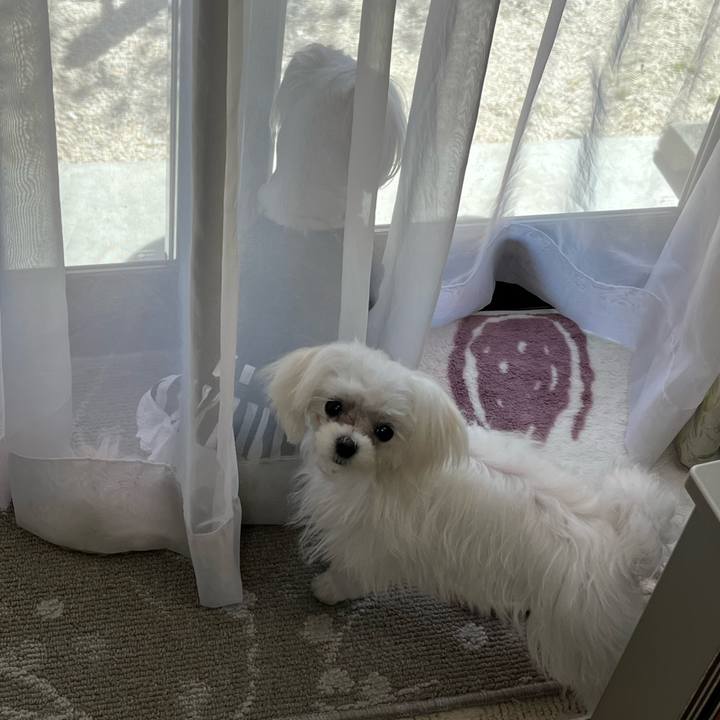 45f76df8 d90b 4f36 ac8a 5db16a87be5d 1711530492333