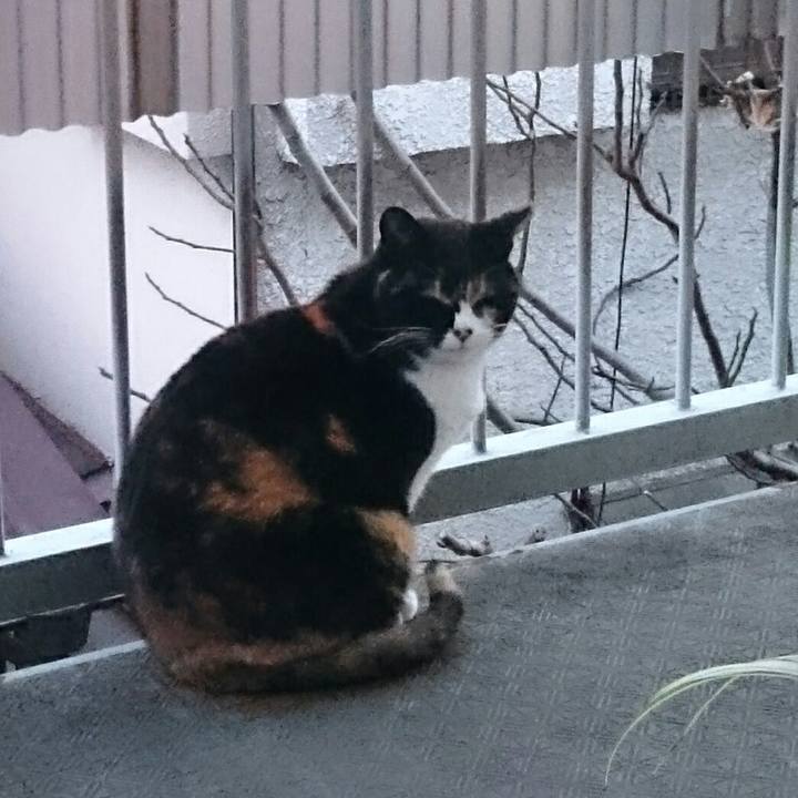 45f77ec0 216b 4fef 8207 0ea7e5534316 1514505679405