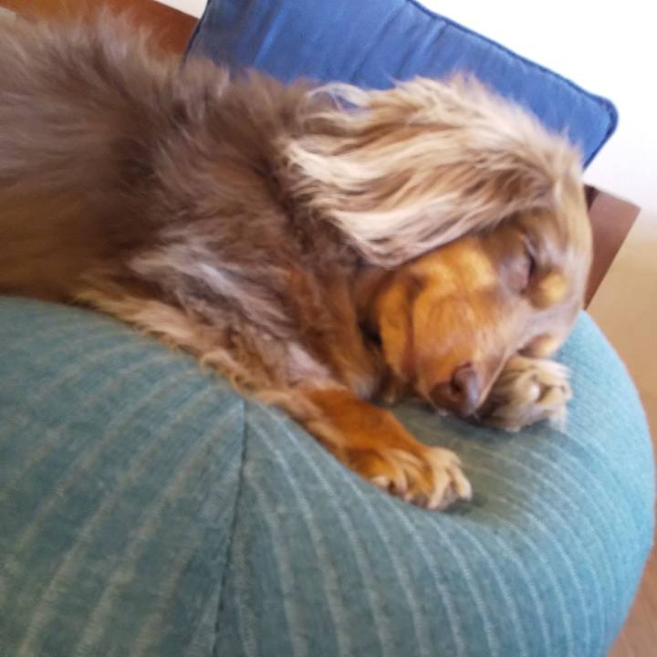 45f7a5e3 26ee 47c5 baa4 456322593472 1605580055573