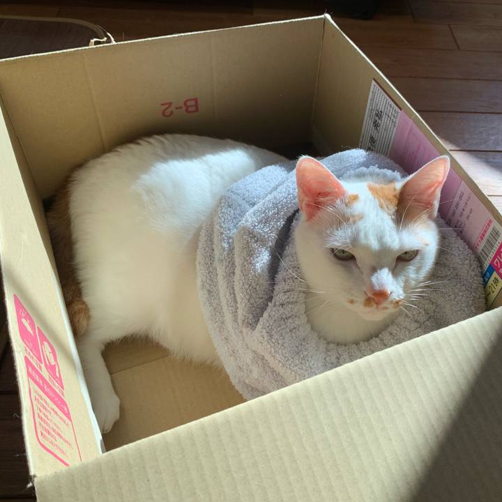 45f7c341 e3fe 4c94 9726 f7debc34fdb8 1640406852077