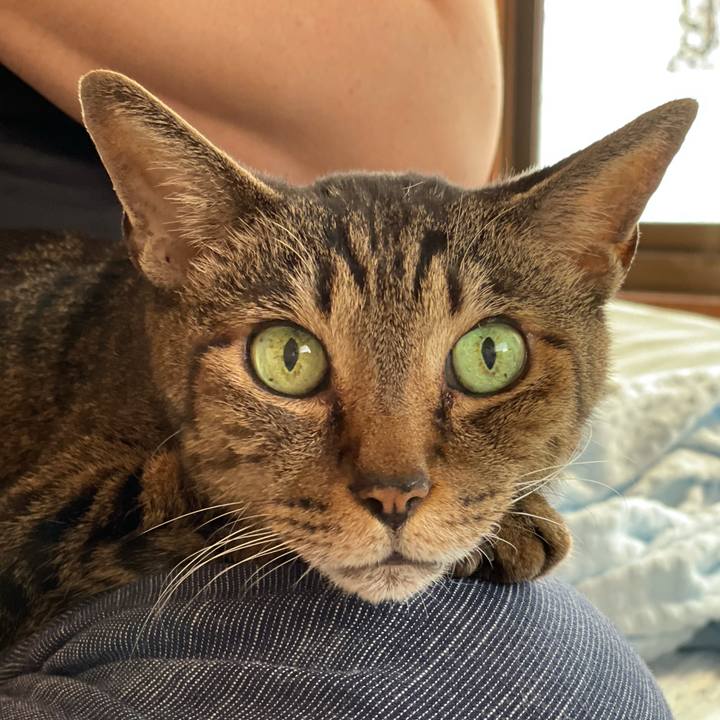 45f7d2f1 1e04 41bc 90b9 67f5bb6d6b30 1628386958385