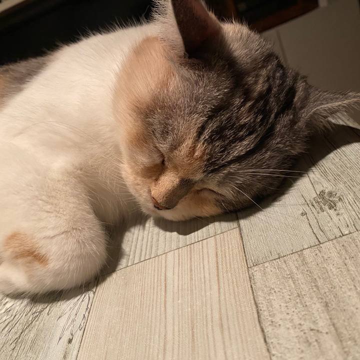 45f81eca 6b41 4591 8f13 2efa50ab68b1 1595085913944