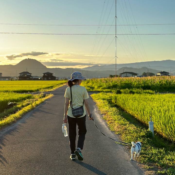 45f8322e 244a 433a 9023 17f7b5c3d0c6 1692060046766