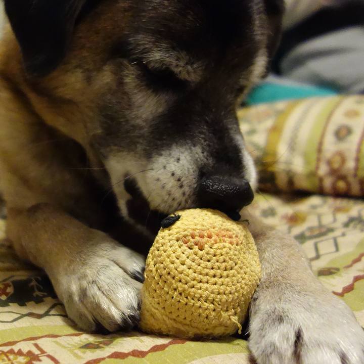 45f870b3 8091 44c3 aba9 c6f9e6d8c03d 1626653852960