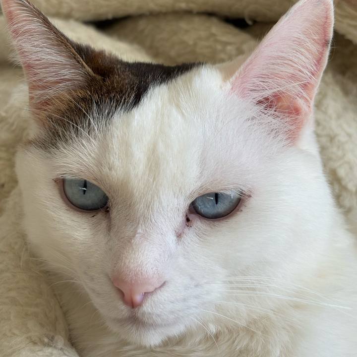 45f87258 ad2c 43ea 8744 330575912d6a 1769650056614