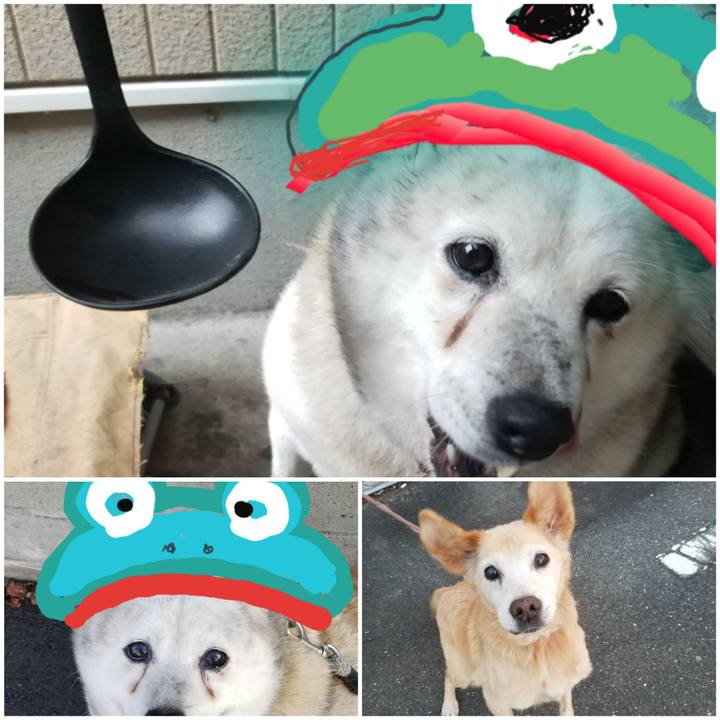 45f88671 08a3 46d7 854a 0edeb0c95571 1757858858776