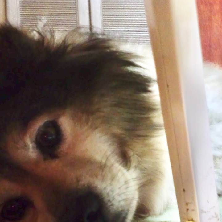 45f88bbe c486 45d7 9435 0c31036d7b14 1633169418093