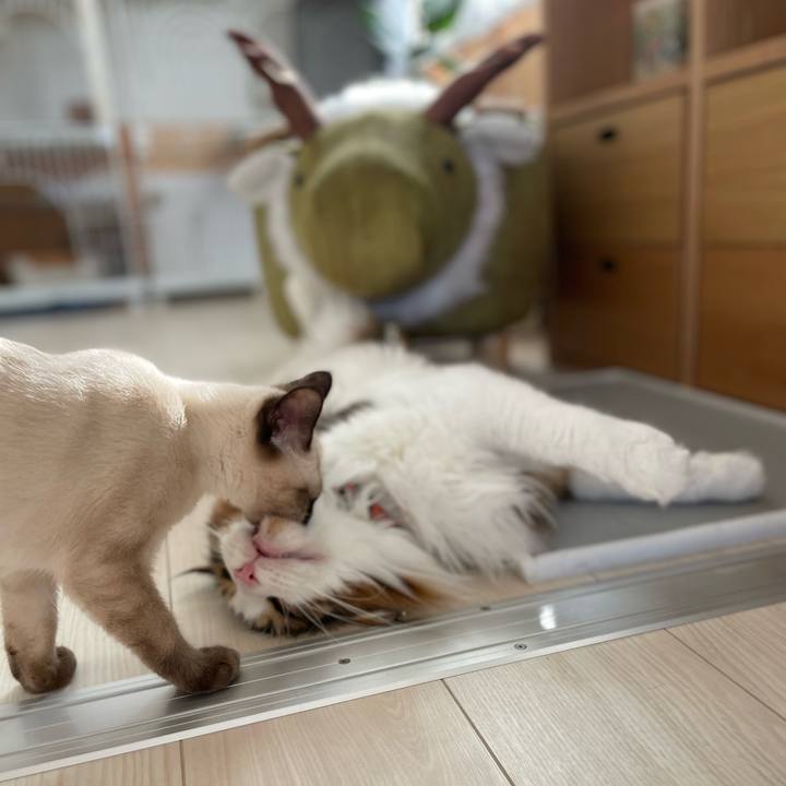 45f891d1 4243 42d1 ace4 73dc4c3d8afc 1693037125391