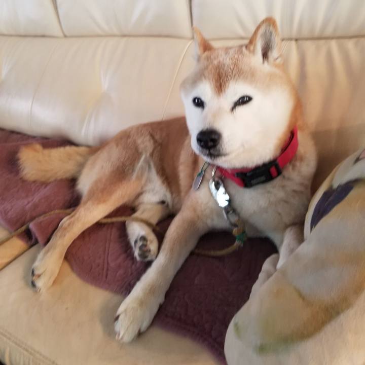 45f8a3c4 4a5a 41a9 a4bf ec2eeb2cea09 1709942843099