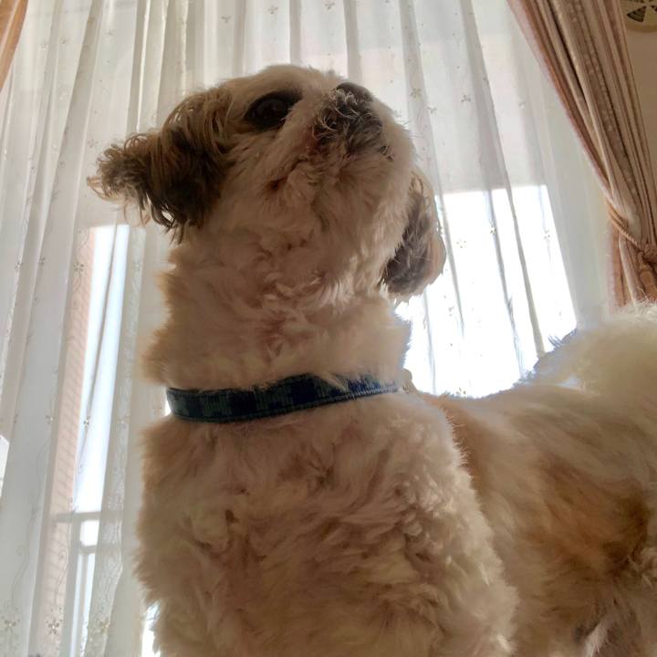 45f8aa71 47c6 4526 b7e2 0e53dc3a3d87 1530828514139