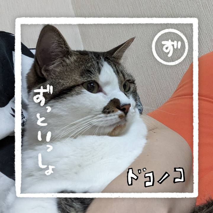 45f8abfc d3fd 49a0 90cf d84e23724439 1685972108196