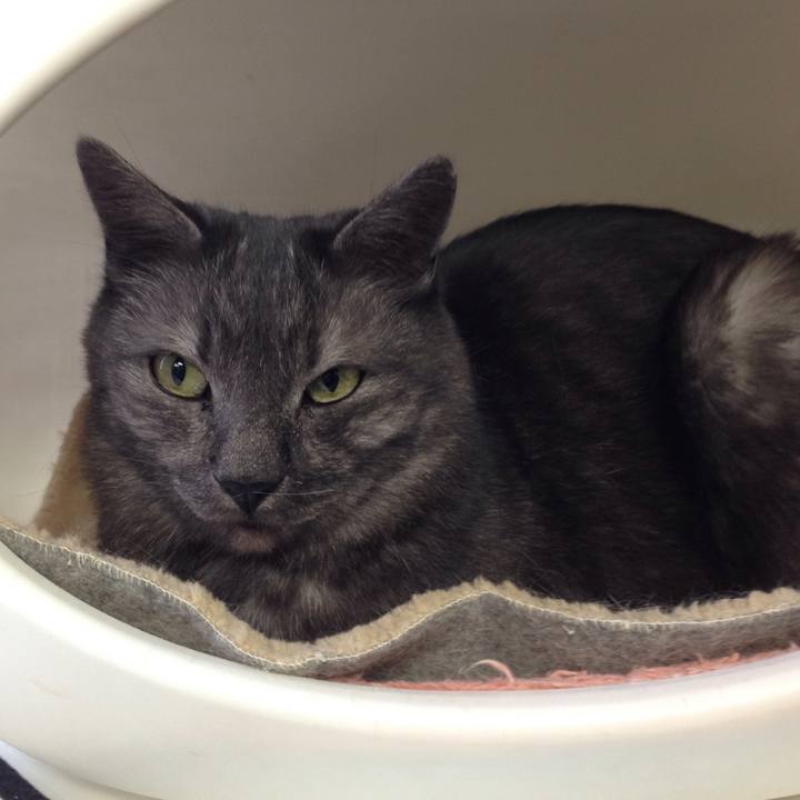 45f8bcbb 628f 40d8 83c9 718c630e9437 1519865226276