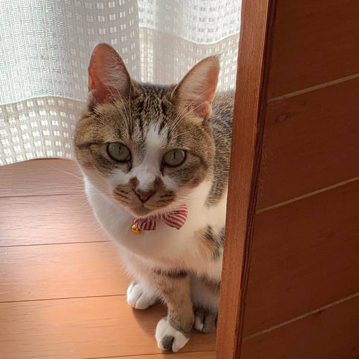 45f8fc0b a0fc 4169 88c2 a1b5218dfce9 1571182508527