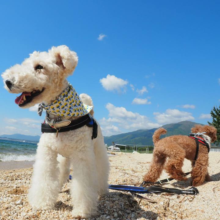 45f8fcab 22e1 4a69 abc4 bada045f9e33 1525413050367