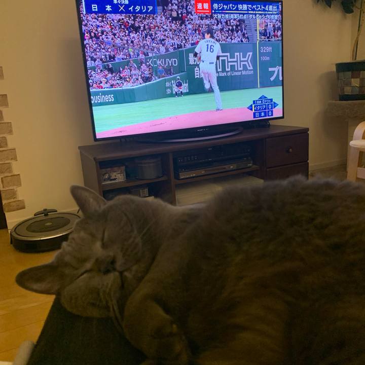 45f922f8 8264 4056 bf3d 8f5653eefa4b 1678974498969