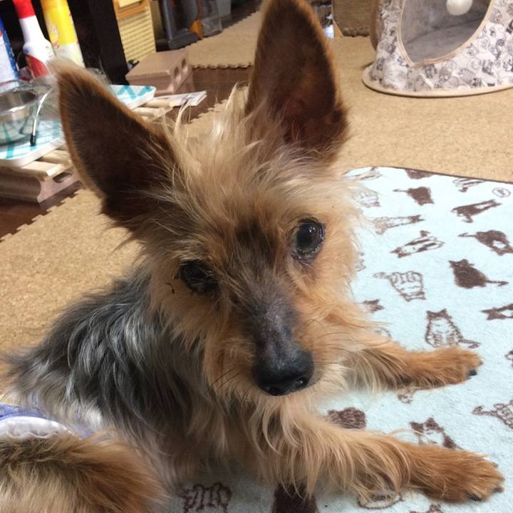 45f96ca3 bed4 4fce 9f0c 21e1a648ca8d 1615033419238