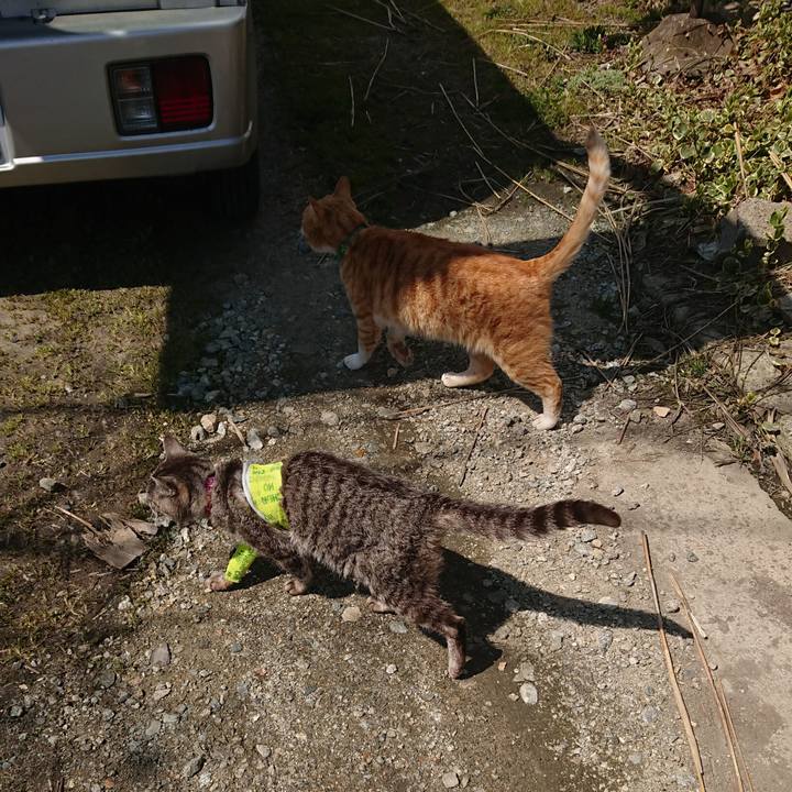 45f9c27f 4d88 42b2 9714 06f86159ccb0 1586399126338