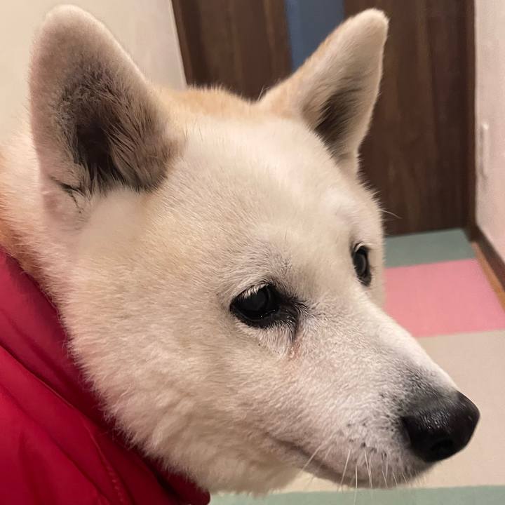 45fa0e6d 7ae2 483b 9afe 1522416cc4ee 1709836941478