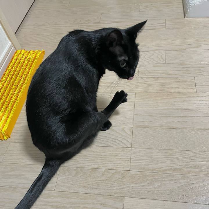 45fa2dcf 5591 4104 ae5a f31f23d8cb98 1731498339230