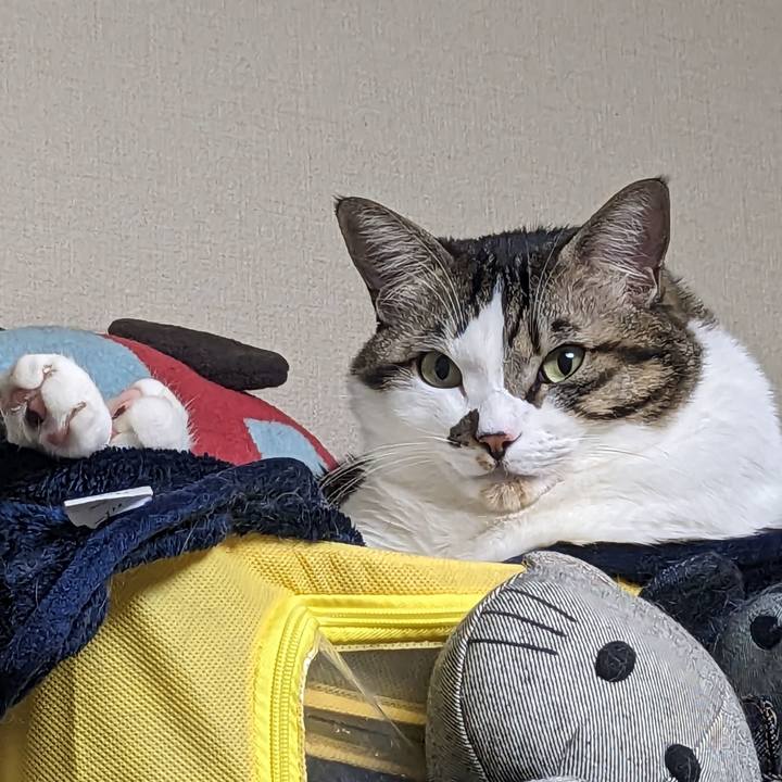 45fa3264 9aef 4a6c 890f 7985a37afc2d 1704102640461