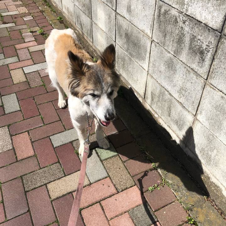 45fa687b f977 4133 82e7 cac9b23baa4e 1524704834893