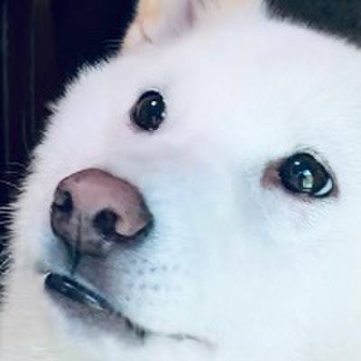 45fa74b9 5770 4ff0 9ca7 52e92642965b 1655066077170