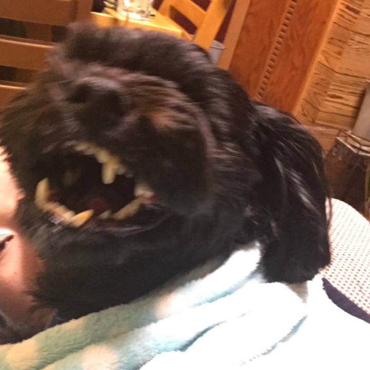 45fa760a a805 4210 8606 c4a3ce14677f 1545493034754