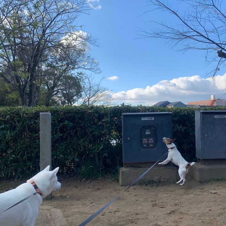 45fa7eb8 8255 45d8 85fa 782fd5d33f65 1546085138504