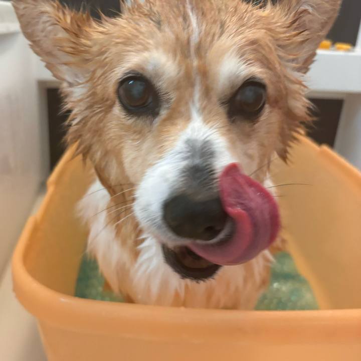 45fa8800 e688 4ca0 ac39 d49db98f5fa8 1769313926950