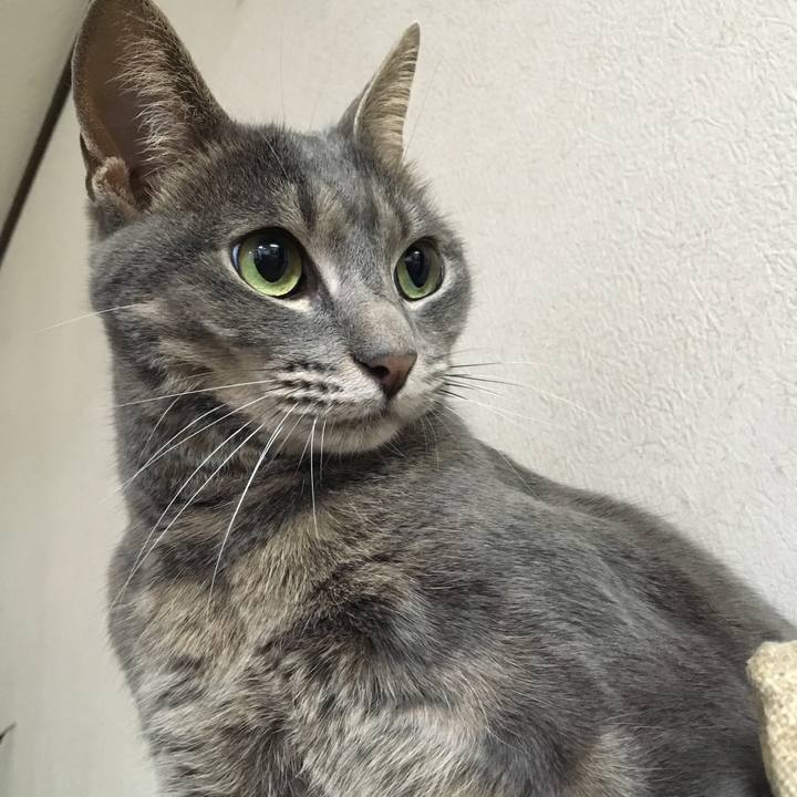 45fa9cf7 811d 4404 a963 ae18fbc975d6 1559053297969