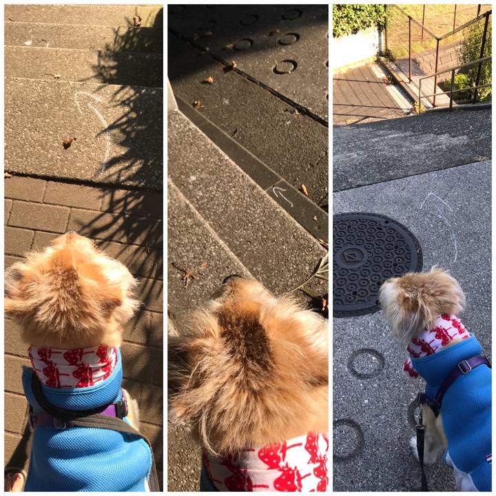 45fab135 a71b 4fba aa05 b3bcd581c323 1597995492358