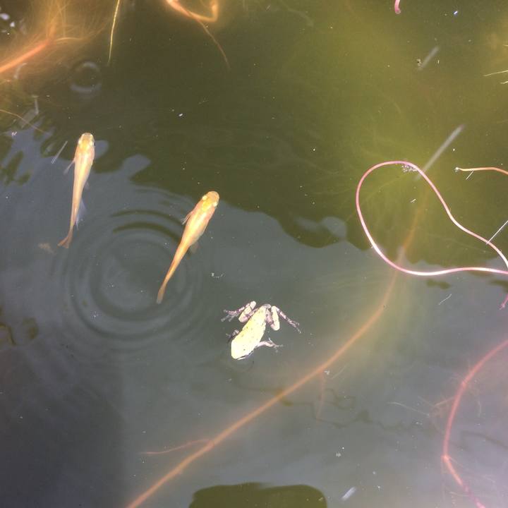 45fab9a6 4181 43c3 b391 8e5ee2379e0a 1530414735560