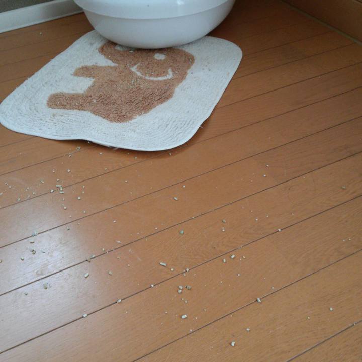 45fad197 f967 4bba aa37 d83dd6abaa91 1513996530448