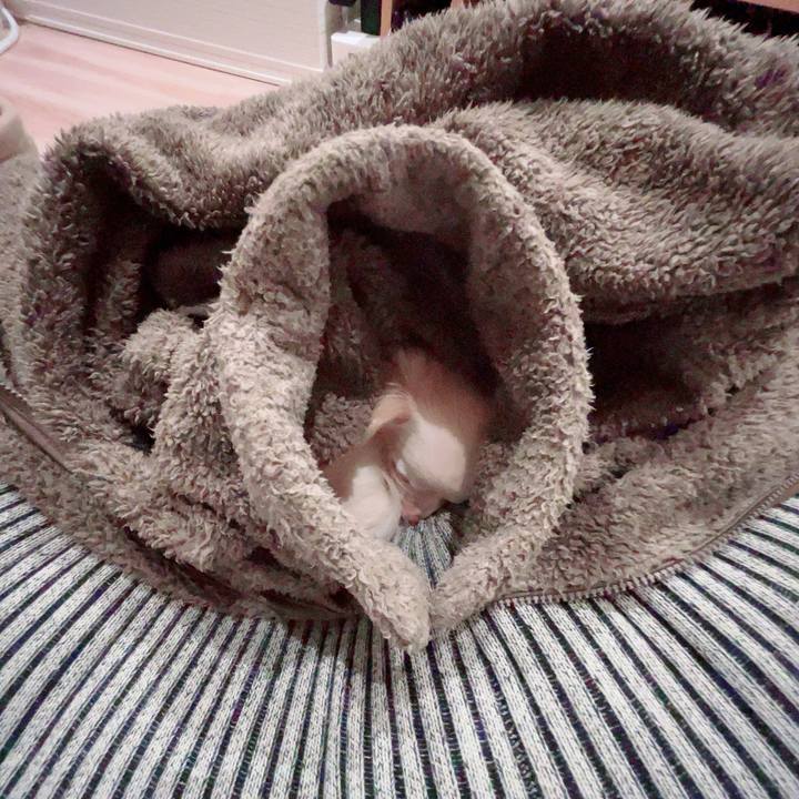 45fae237 94ac 4f2a a02f c07f7cadfb9f 1701173440571