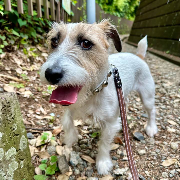 45fb0bb9 8a63 46e8 8740 fc4fb421ced7 1716648239743