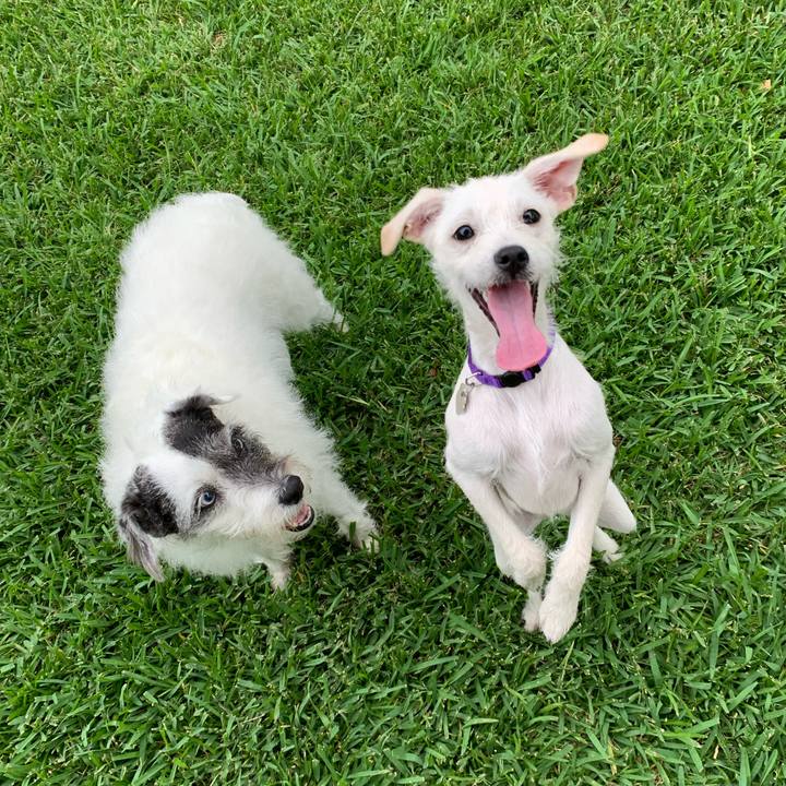 45fb3da1 b904 422d b9d1 01086e4e01c0 1653480636289