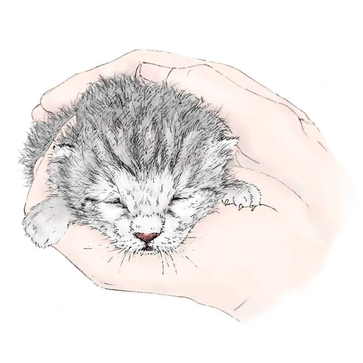 45fb64af 5e6f 4aab a073 4b4e8704ec60 1592094034647