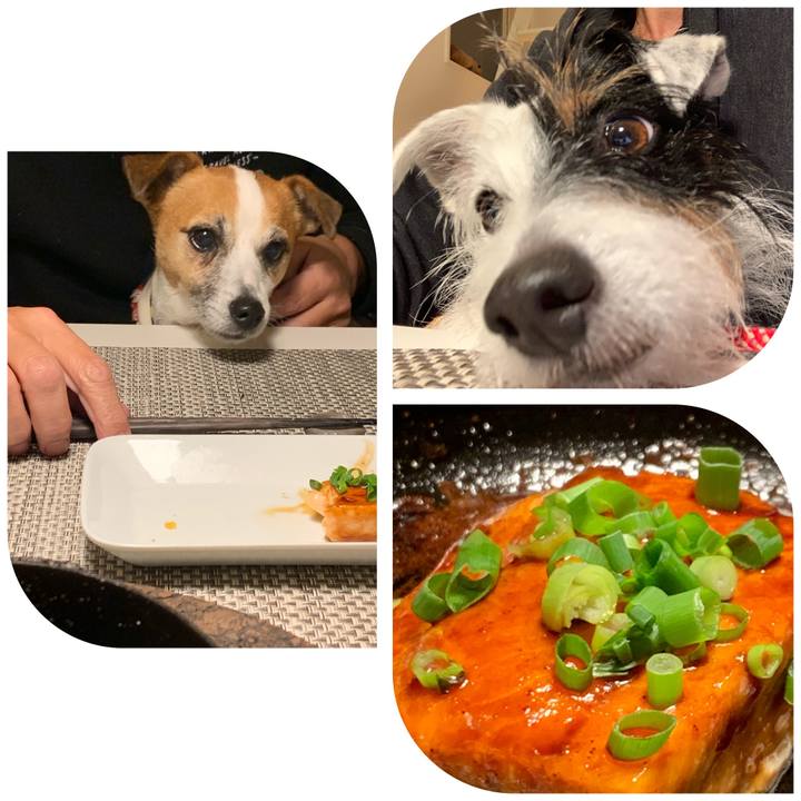 45fb6627 e85d 457e 9de6 3c7f6b9e13a4 1607252260300